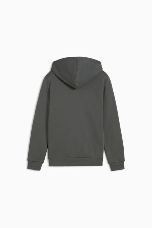 Essentials Big Logo Hoodie Youth, Mineral Gray, extralarge-GBR