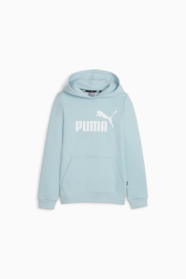 Essentials Logo Youth Hoodie, Turquoise Surf, extralarge
