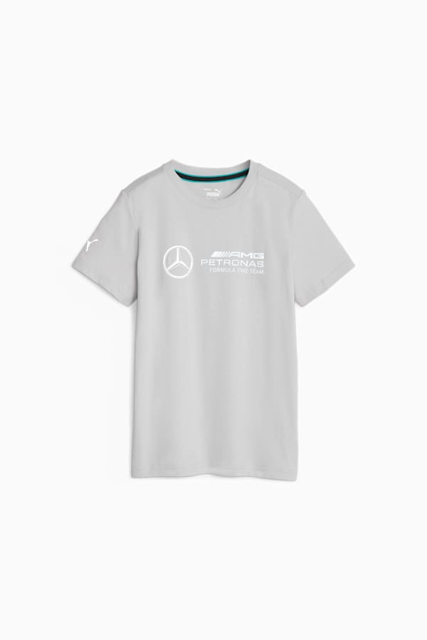 Mercedes-AMG Petronas Motorsport Youth Logo Tee, Mercedes Team Silver, extralarge
