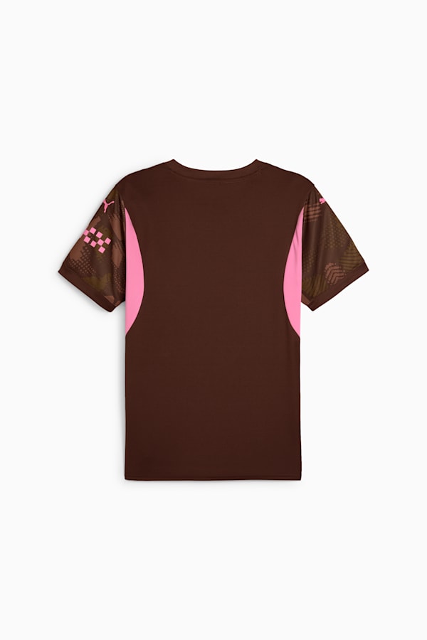 Manchester City 24/25 Goalkeeper Short Sleeve Jersey Men, Espresso Brown-Wild Willow, extralarge