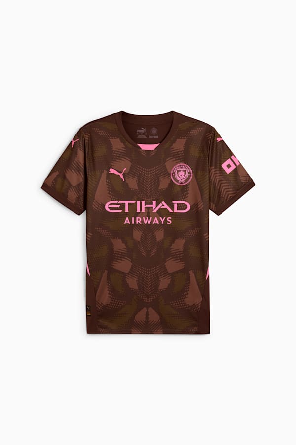 Manchester City 24/25 Goalkeeper Short Sleeve Jersey Men, Espresso Brown-Wild Willow, extralarge
