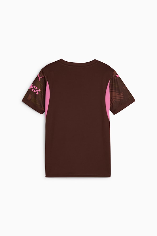Manchester City 24/25 Goalkeeper Short Sleeve Jersey Youth, Espresso Brown-Wild Willow, extralarge