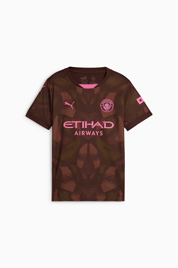 Manchester City 24/25 Goalkeeper Short Sleeve Jersey Youth, Espresso Brown-Wild Willow, extralarge
