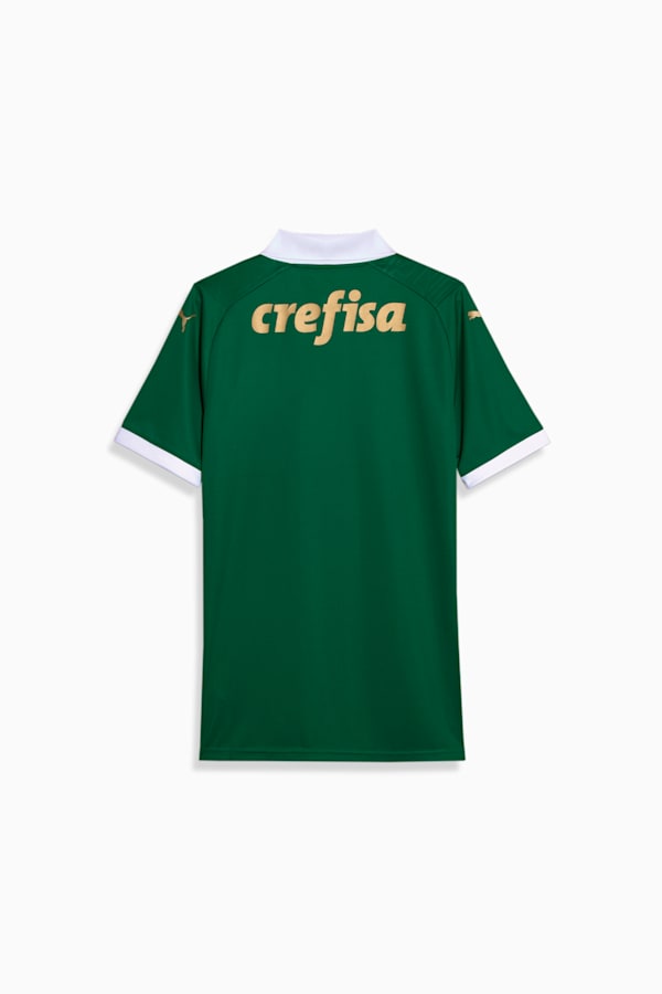 Palmeiras Fans Men's 2024 Home Jersey
