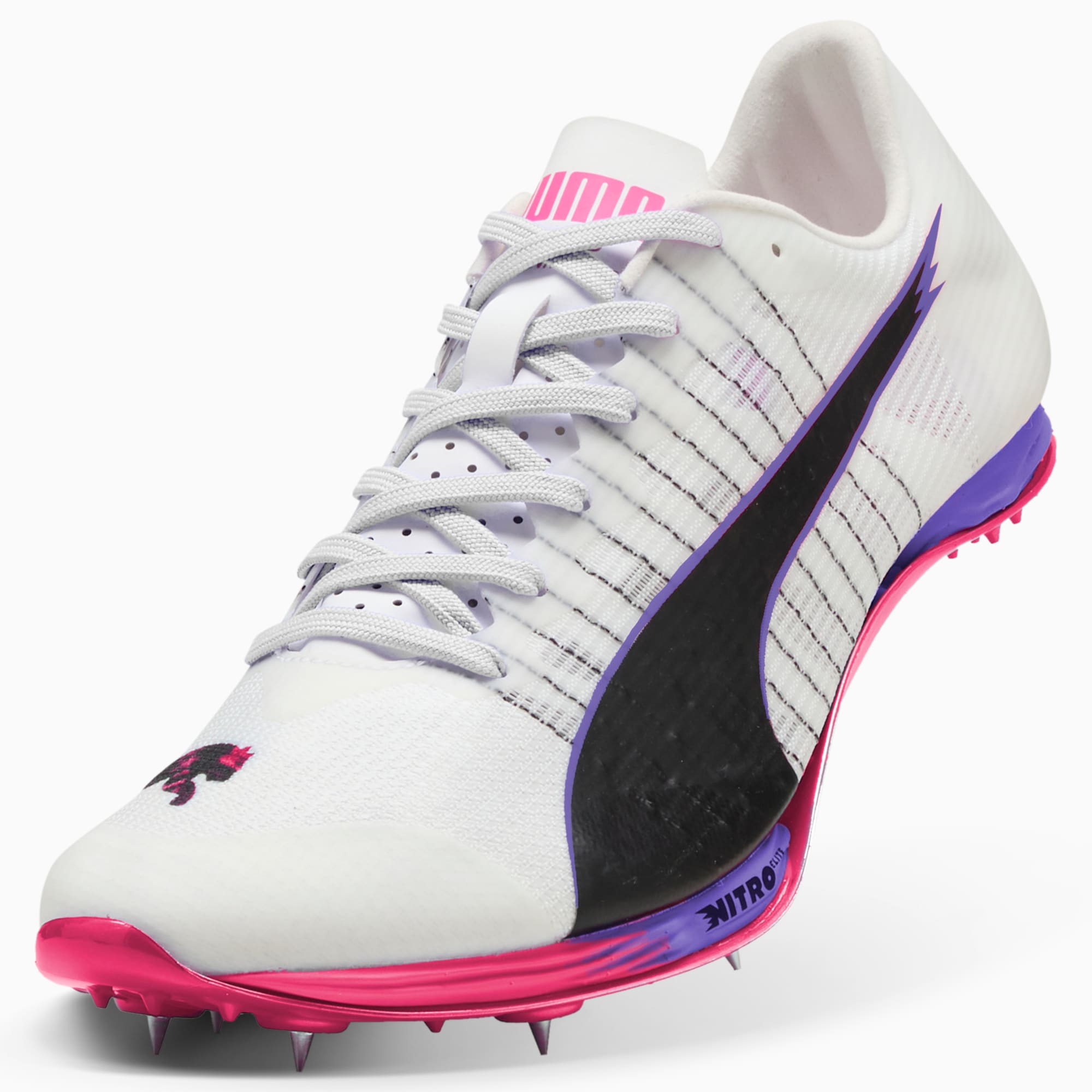 【激レア品】EVOLUTION~ENTERING THE NEW WORLD~ png