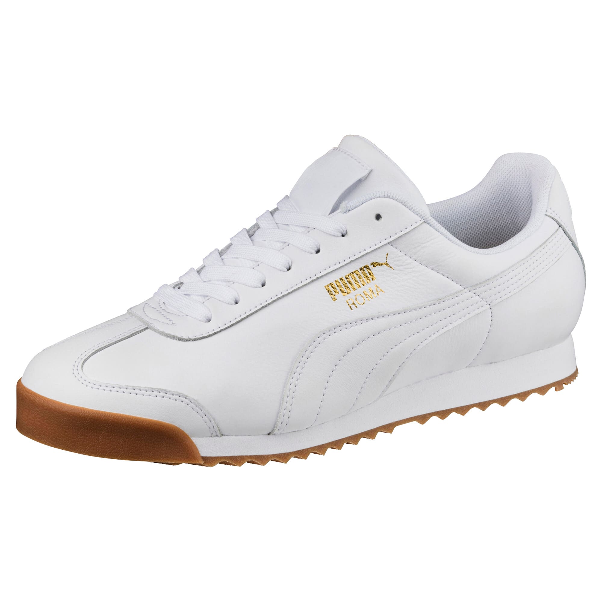 puma rome puma rome