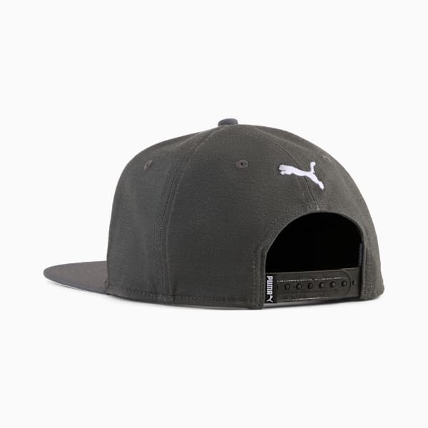ESS No. 1 Logo Flat Brim Cap, Dusky Gray, large-ZAF