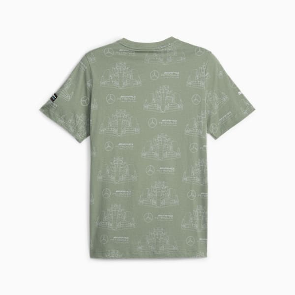 Remera para hombre Mercedes-AMG PETRONAS, Eucalyptus, large-ARG