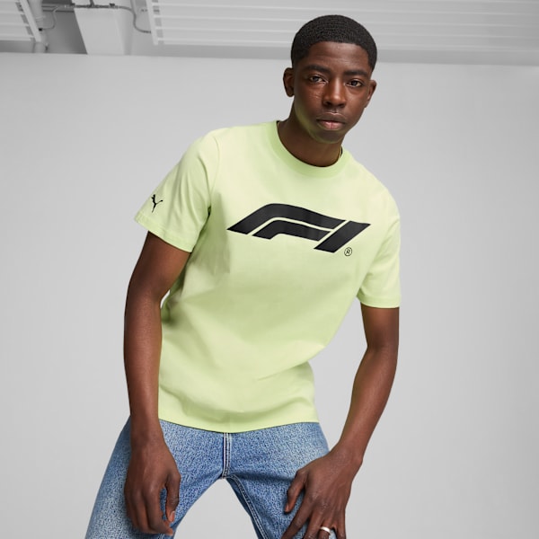 F1® Essentials Men's Motorsport Logo Tee, Cool Cucumber, large-ZAF