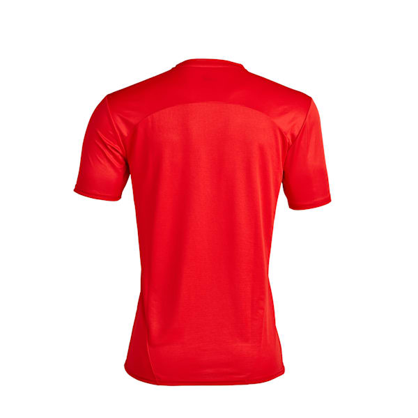 Camiseta de entrenamiento C.A. Independiente, PUMA Red-PUMA Silver, large-ARG