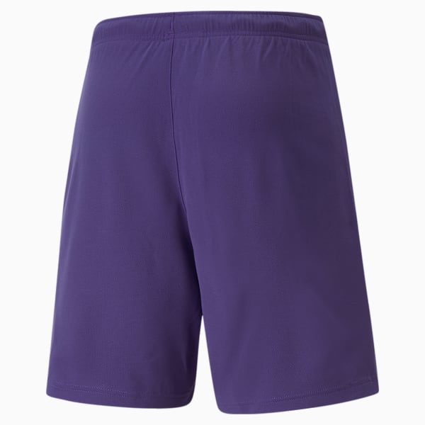 Shorts teamRISE Masculino, Roxo, large-BRA