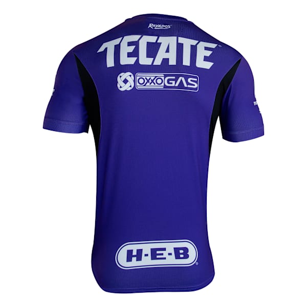 Jersey Monterrey GK Away Replica 24-25, Team Violet, large-MEX