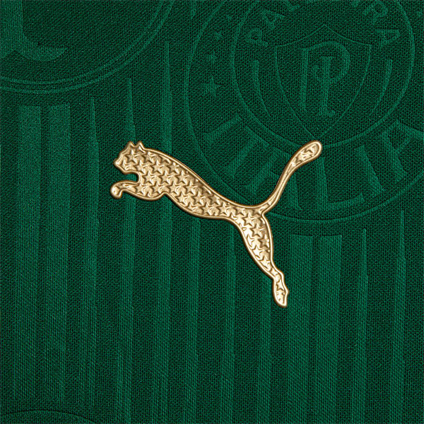 Camisa Palmeiras 1 HOME Jogador 24/25, Verde, large-BRA