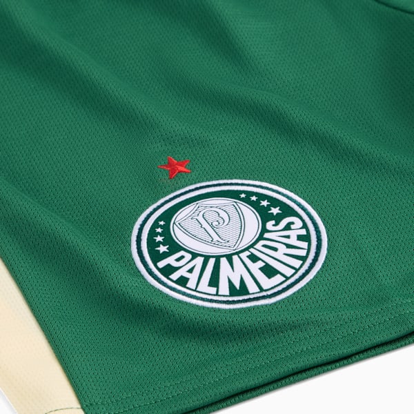 Shorts KIDSUPER X PALMEIRAS Torcedor Juvenil, Vine-Alpine Snow, large-BRA