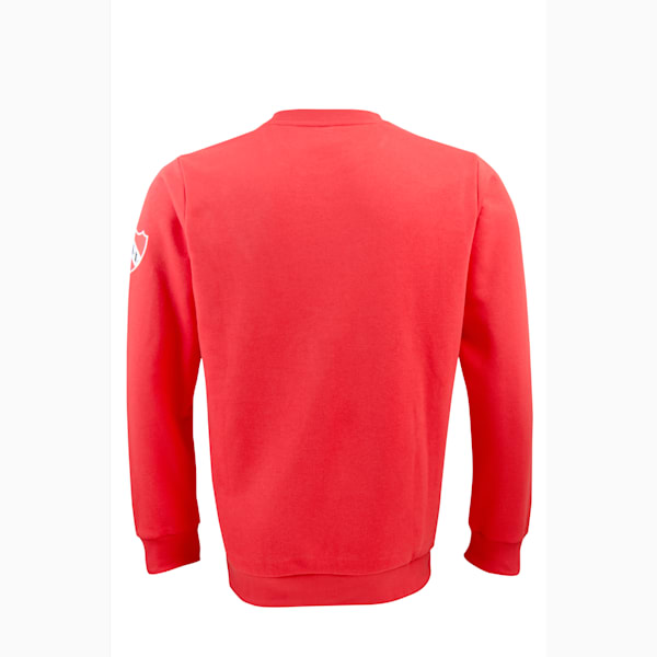 Buzo CAI Ftblicons, PUMA Red, large-ARG