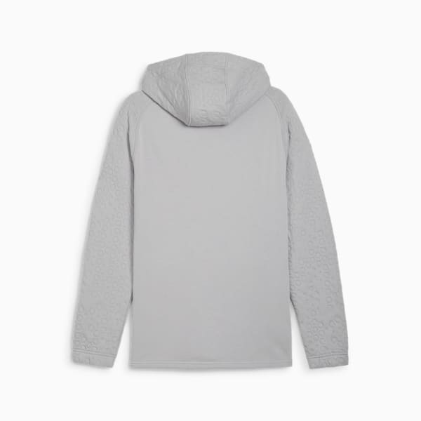 Campera con capucha Mercedes-AMG Petronas F1® para hombre, Team Silver, large-ARG