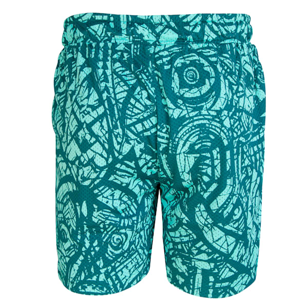 Hoops Mexico x NBA Shorts, Aquatic, large-MEX