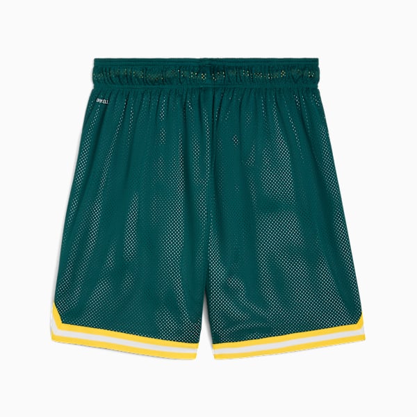 Shorts de básquetbol PUMA HOOPS x SE PALMEIRAS para hombre, Malachite-Jade Green-AOP, large-MEX