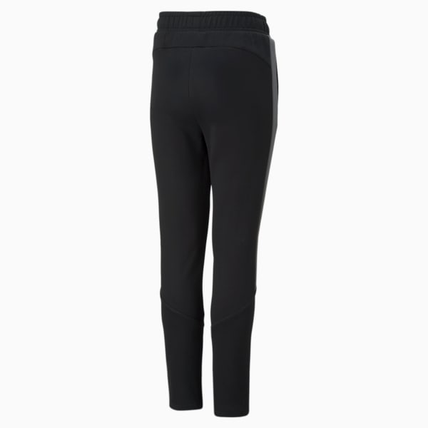 Evostripe Pants Youth, Puma Black, large-ZAF