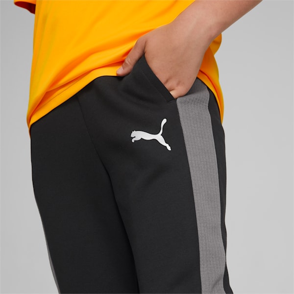Evostripe Pants Youth, Puma Black, large-ZAF