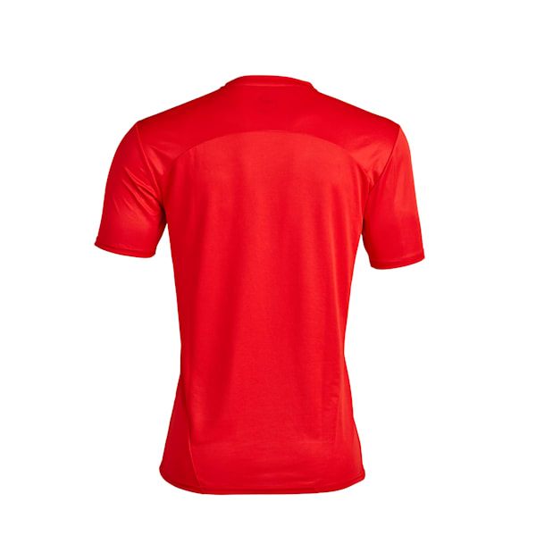 Camiseta de entrenamiento C.A. Independiente, PUMA Red-PUMA Silver, large-ARG