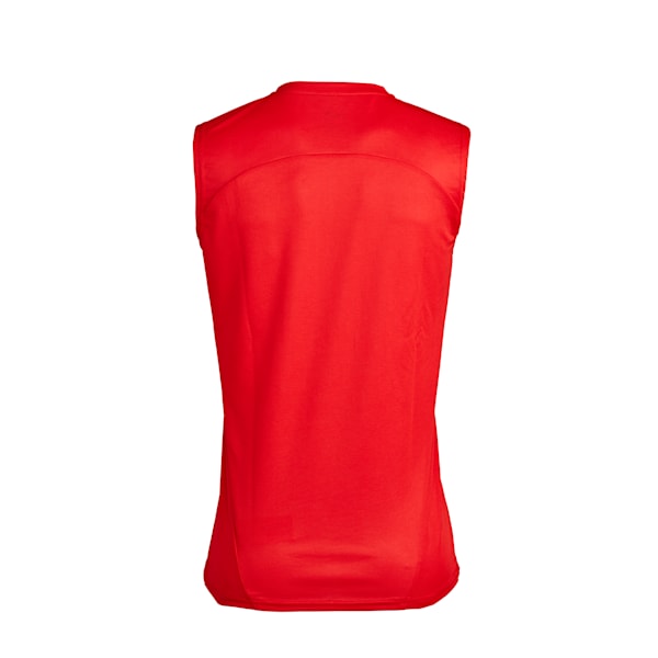 Camiseta de entrenamiento C.A. Independiente, PUMA Red-PUMA Silver, large-ARG