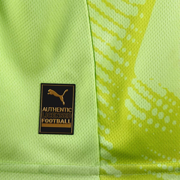 Camiseta de arquero C.A. Independiente para hombre, Speed Green-AWAY II, large-ARG
