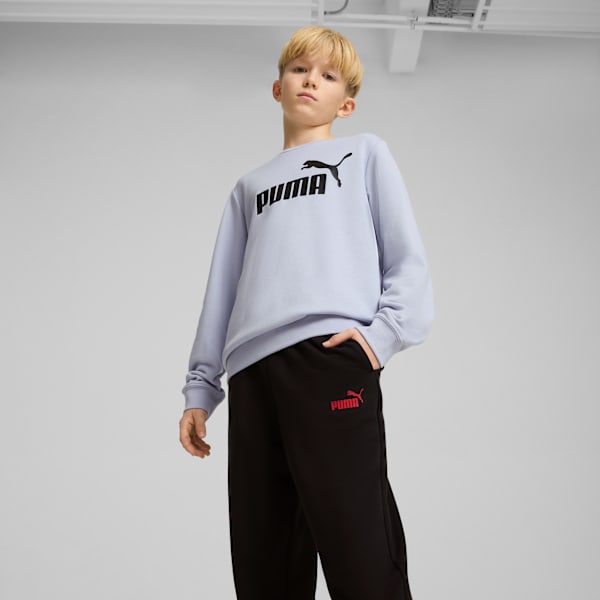 Essentials No. 1 Logo Crew Sweat Suit Youth, Cool Weather, large-ZAF