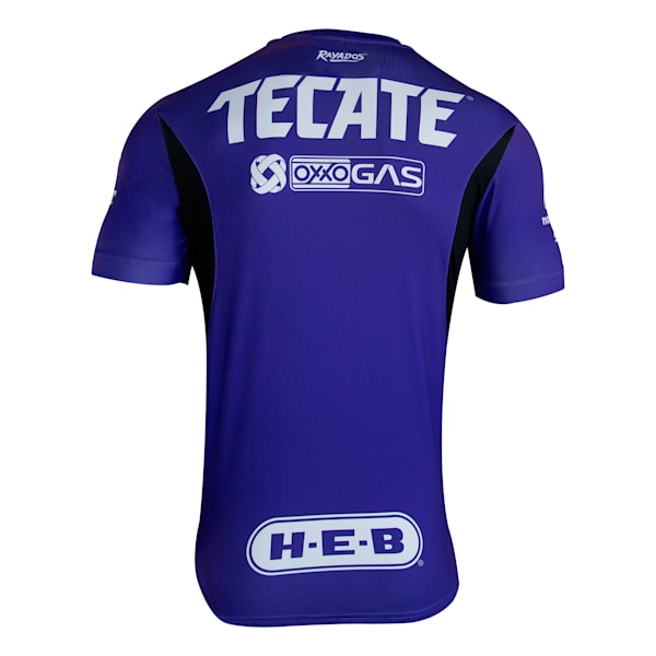Jersey Monterrey GK Away Replica 24-25, Team Violet, large-MEX