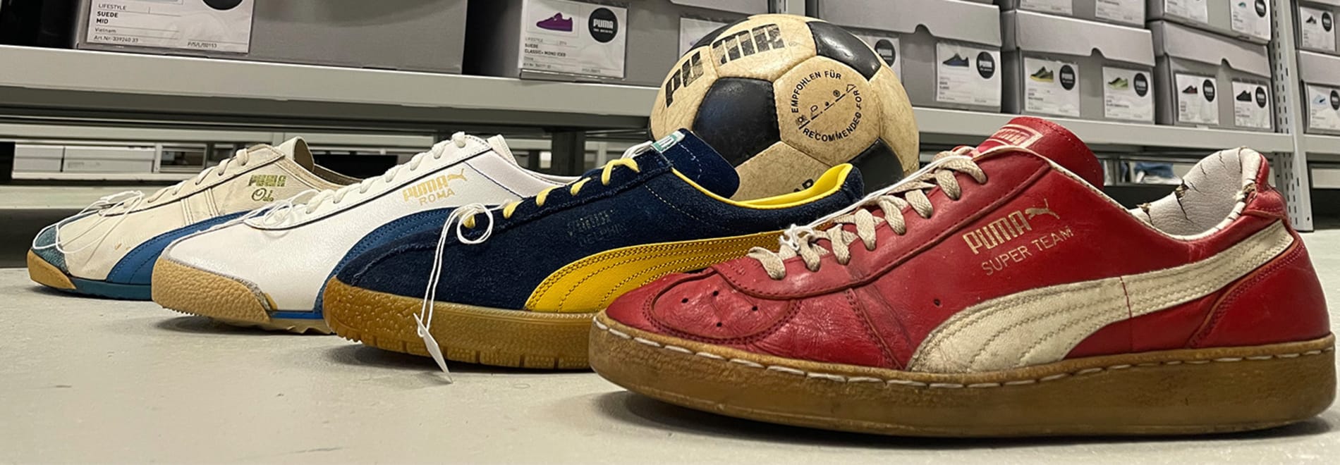 Puma Terrace