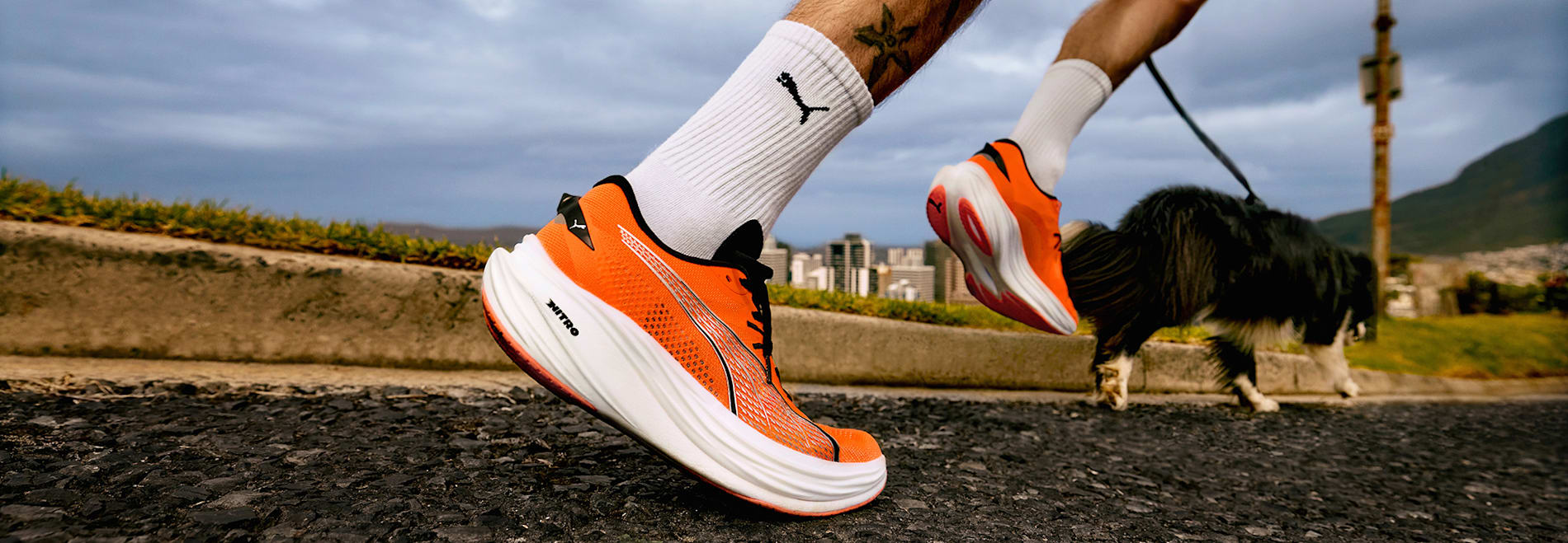 PUMA RUNNING GO WILD