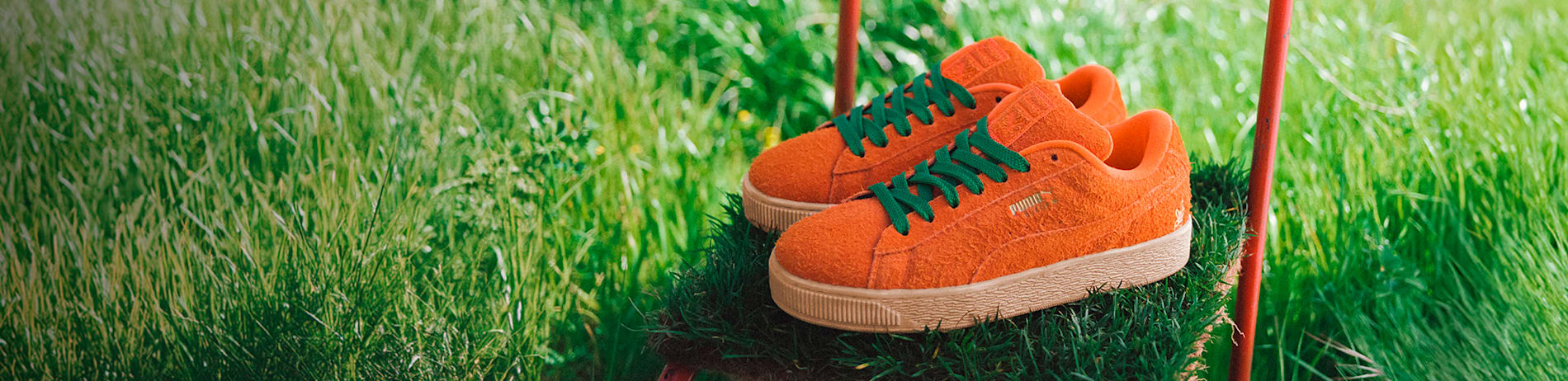 Anwar carrots x puma suede classic new arrivals