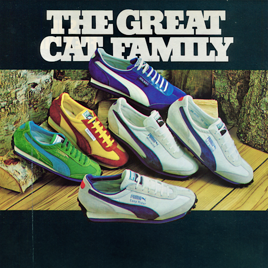 Great Cat Family