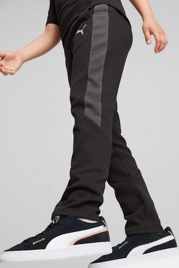 Puma evostripe cheap ultimate pants