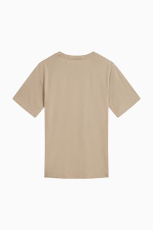 EVOLVE Men's Training Tee, Hazelnut, extralarge-GBR