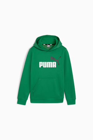 Essentials+ Two-Tone Big Logo Hoodie Big Kids, Archive Green, extralarge