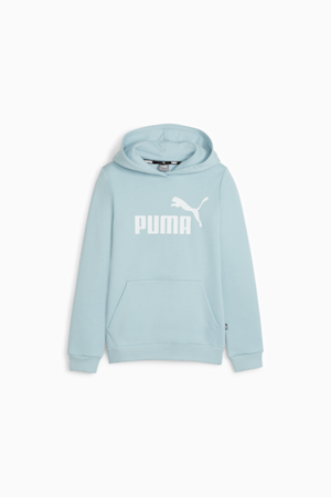 Essentials Logo Youth Hoodie, Turquoise Surf, extralarge-GBR