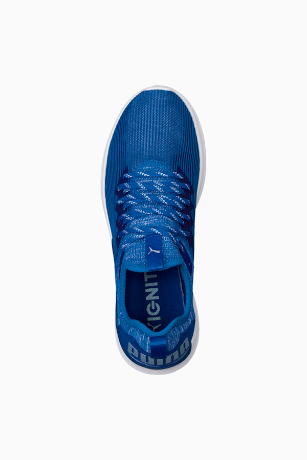 Puma ignite flash evoknit men's best sale running shoes