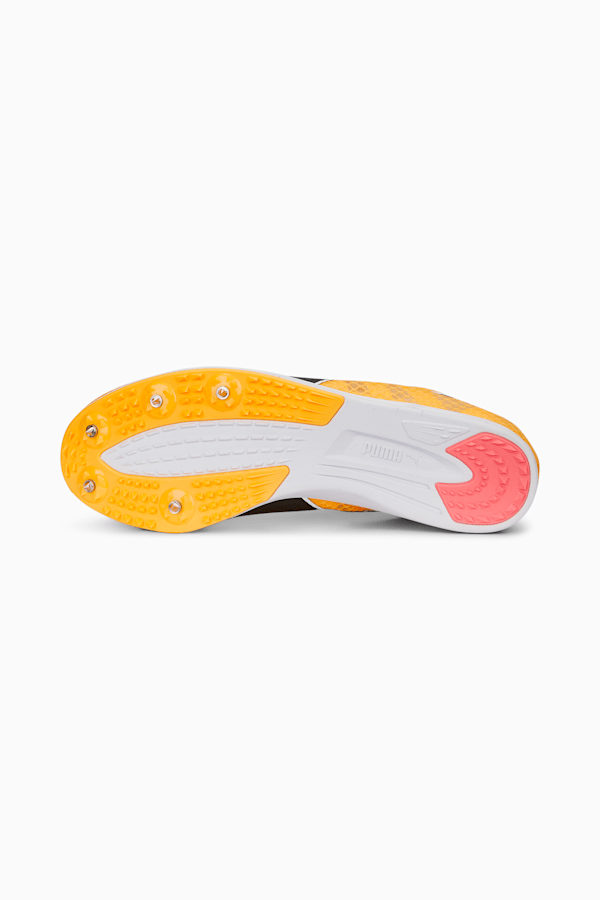 Puma evospeed distance v6 hot sale