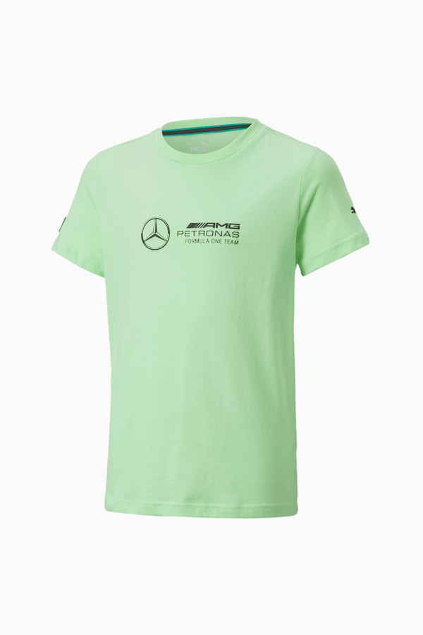 Mercedes-AMG Petronas Motorsport Formula One Logo Tee Youth, Paradise Green, extralarge-GBR