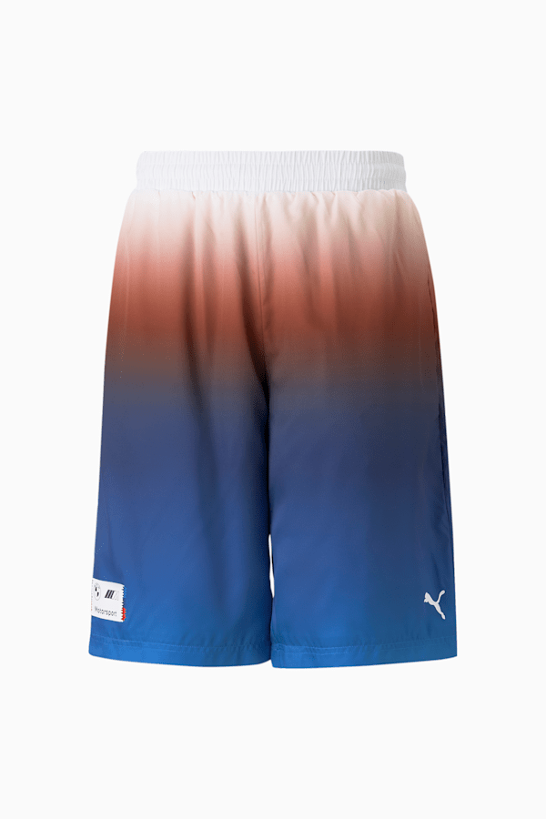 Puma bmw shorts sale 2025