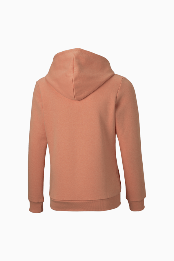 Essentials Logo Youth Hoodie, Peach Pink, extralarge