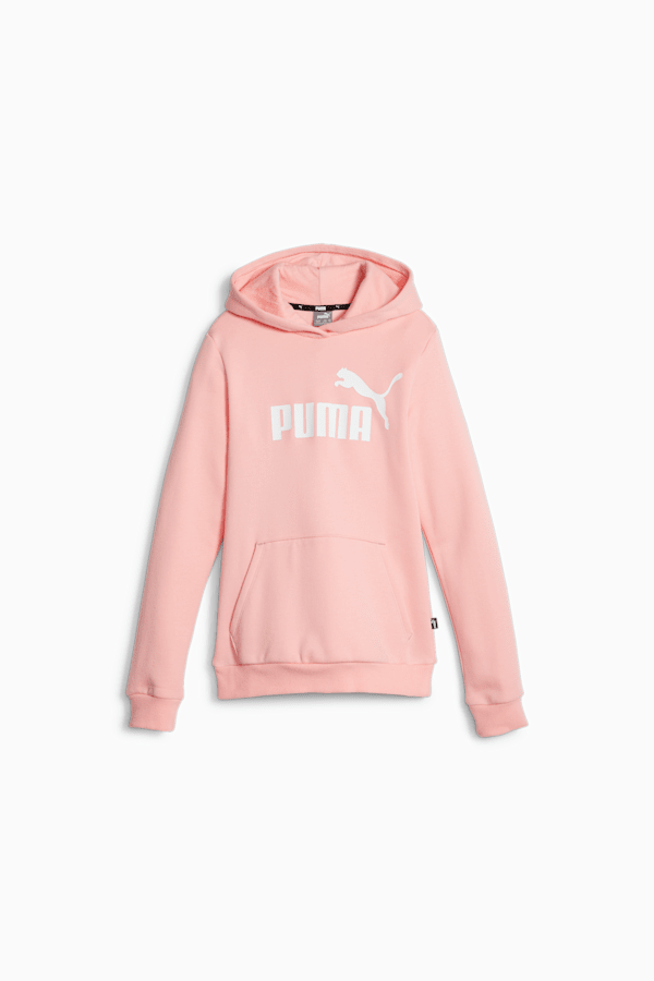 Essentials Logo Youth Hoodie, Peach Smoothie, extralarge-GBR
