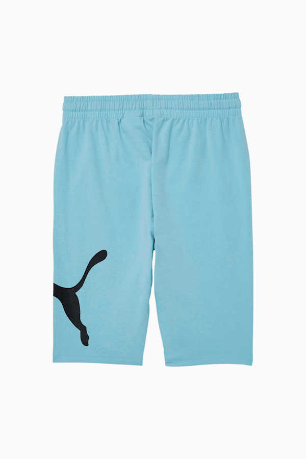 Puma speed shorts hotsell
