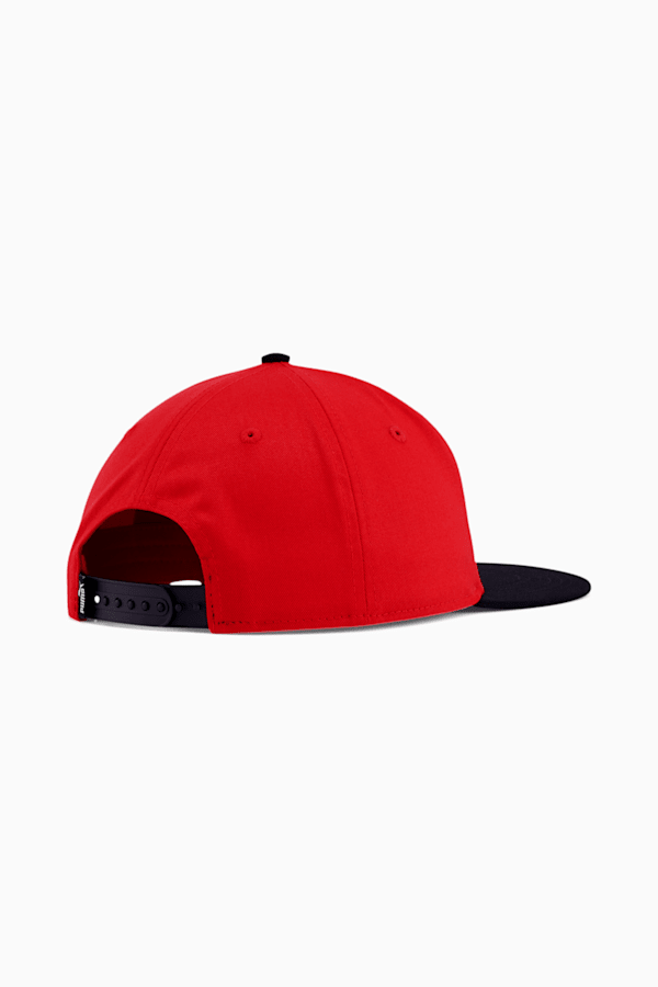 Flat 2024 cap nyc