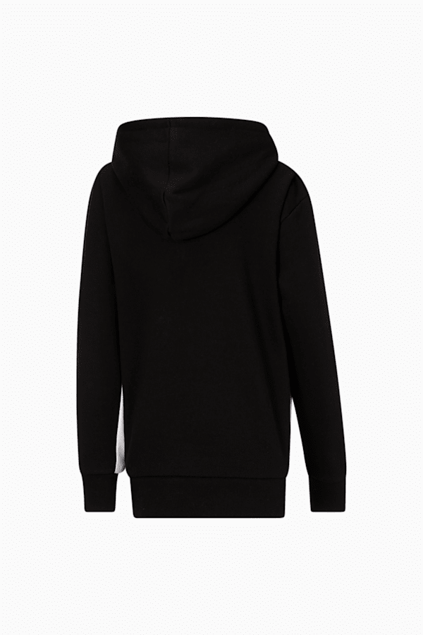 Dazed Colorblock Pullover Hoodie Big Kids PUMA