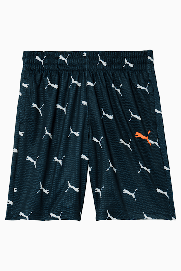Summer Cool Pack Little Kids Shorts