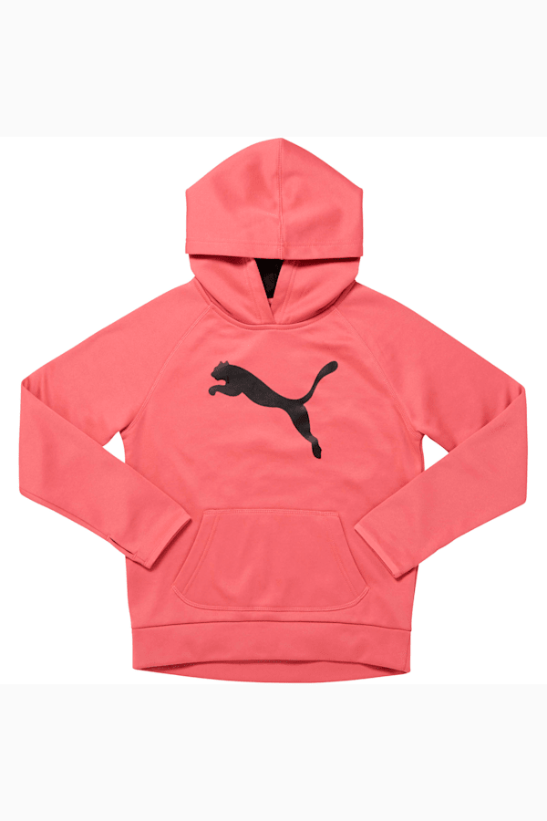 Pink hotsell puma hoodie
